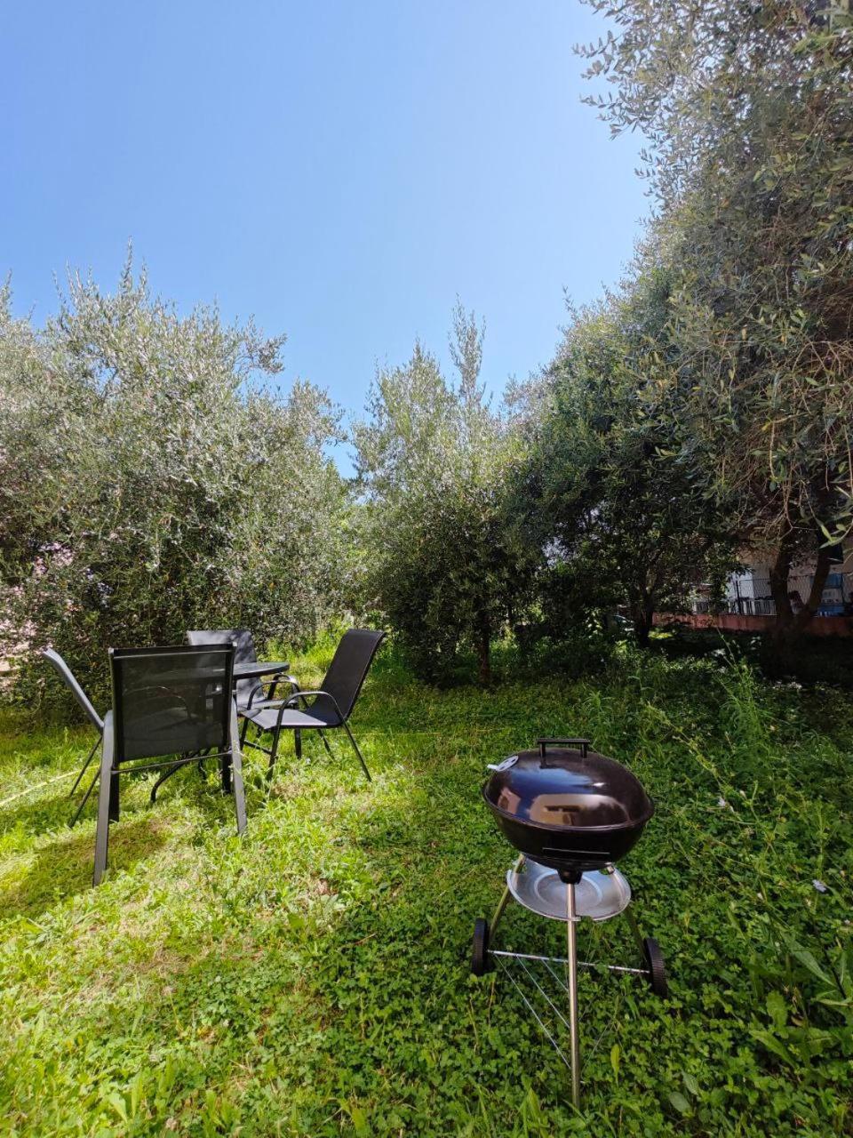 Apartmani Radovic Bijela Exterior photo
