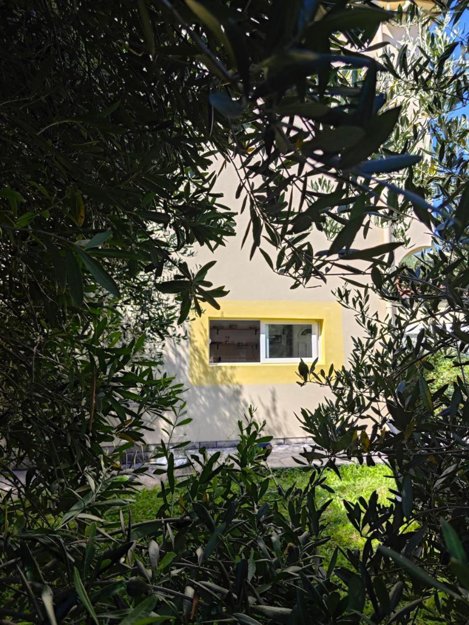 Apartmani Radovic Bijela Exterior photo